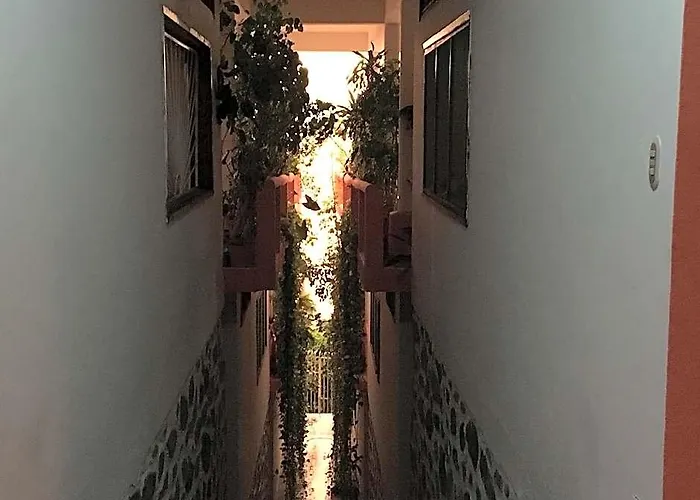 Pacificos